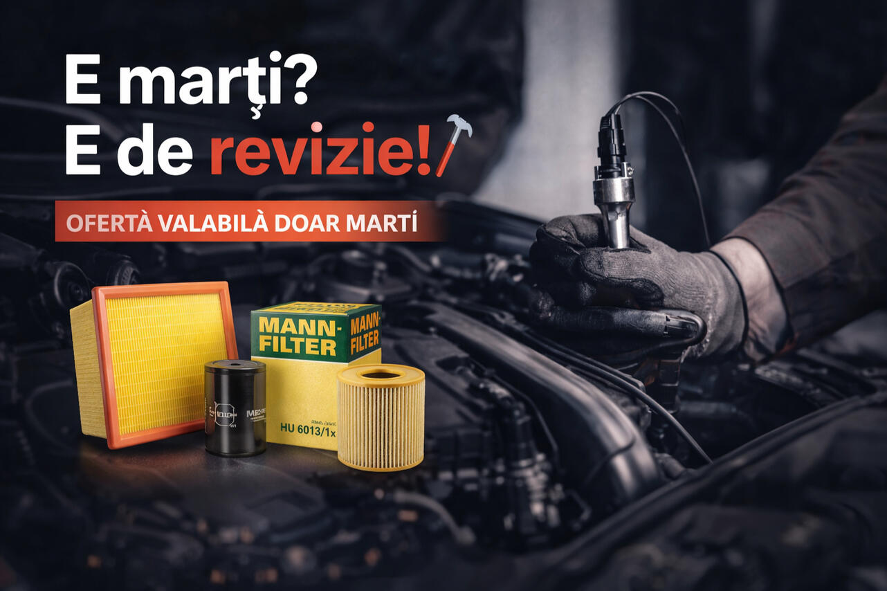 Oferta revizie auto SBY Service